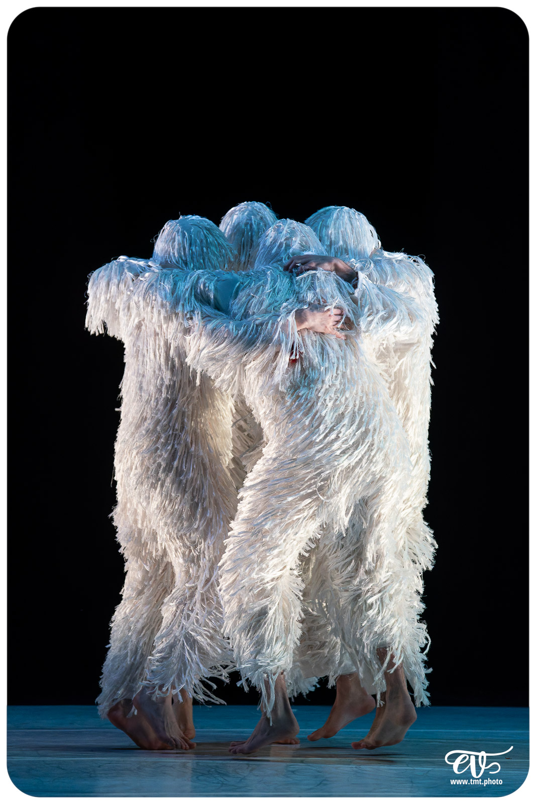 A4 (COMME LA FEUILLE) CIE CHICOS MAMBO